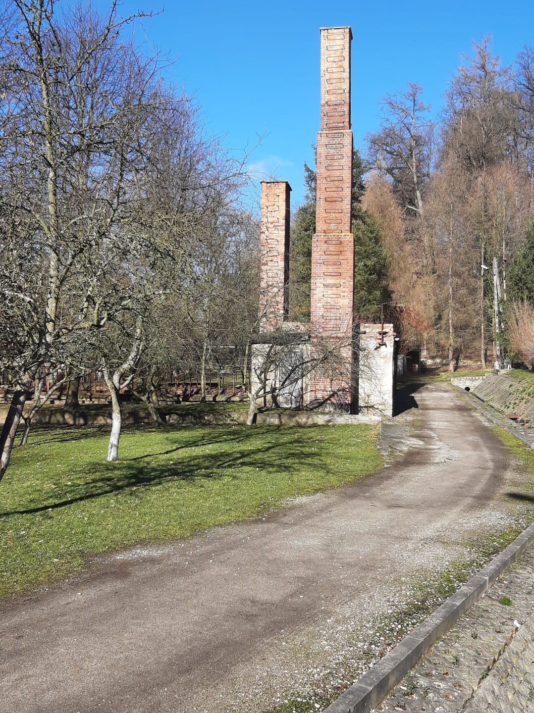 przebudowa-kanalizacji-w-dps-113852