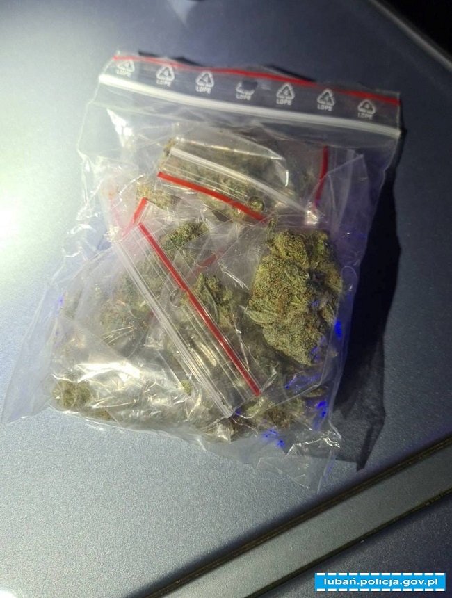 z-narkotykami-za-kokiem-113999