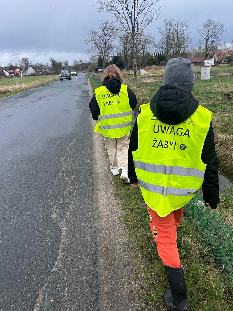 na-odsiecz-zabom-114120