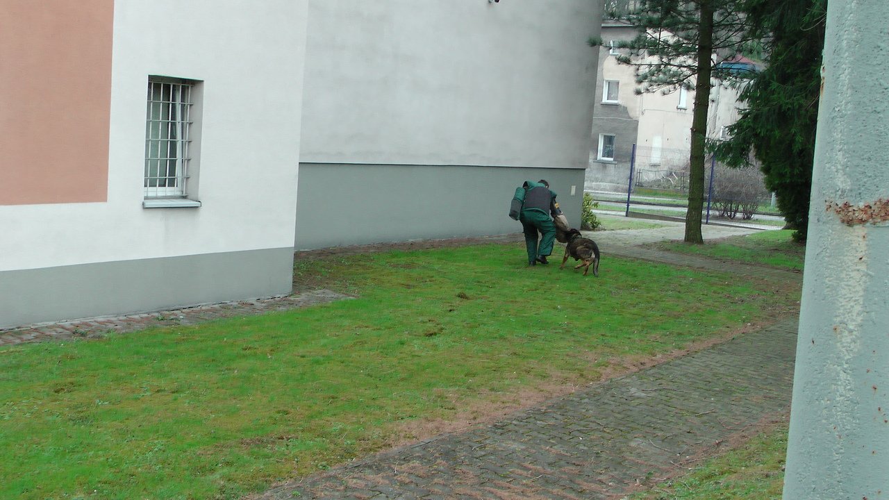 zaproszenie-z-komendy-114266