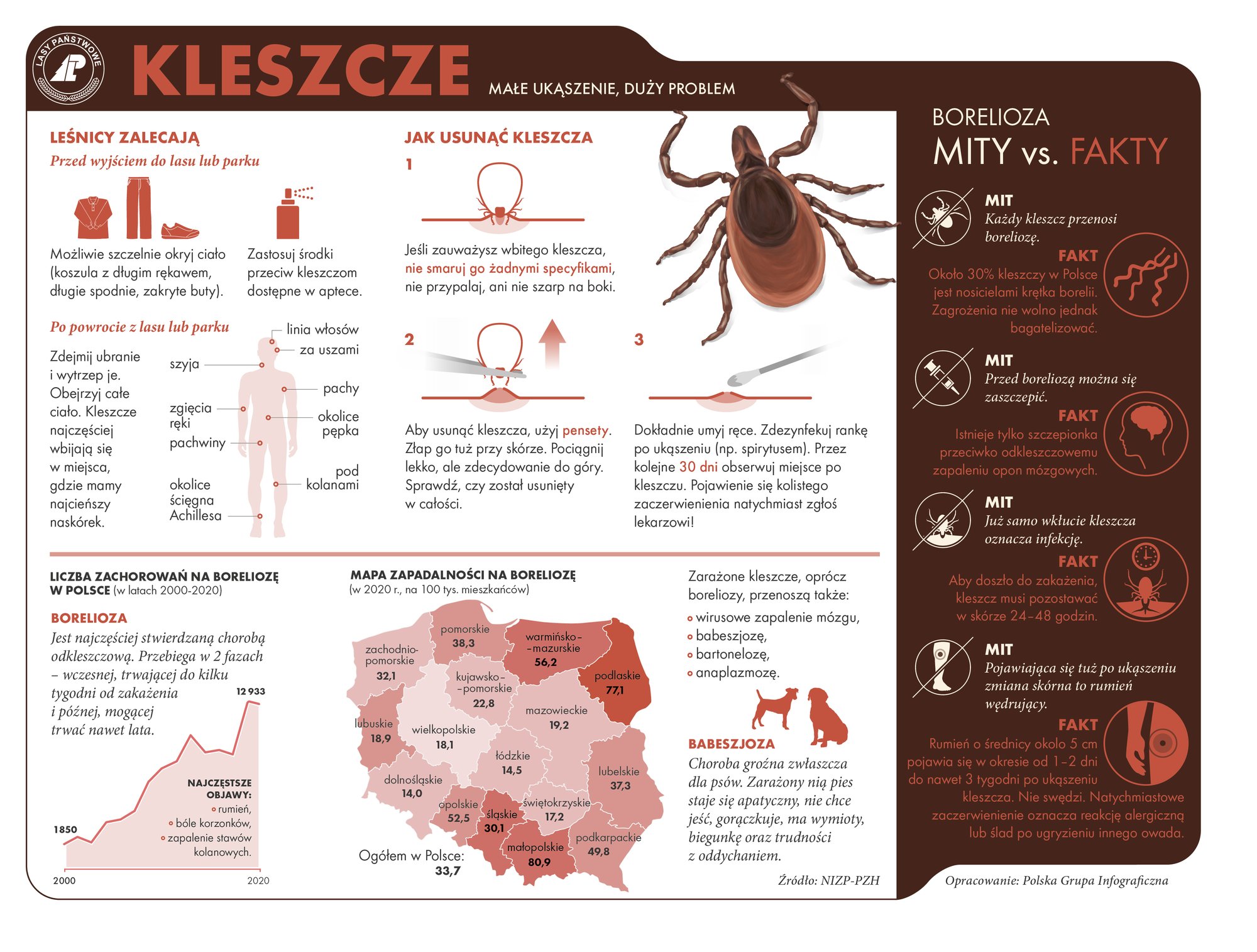 sezon-na-kleszcze-114303
