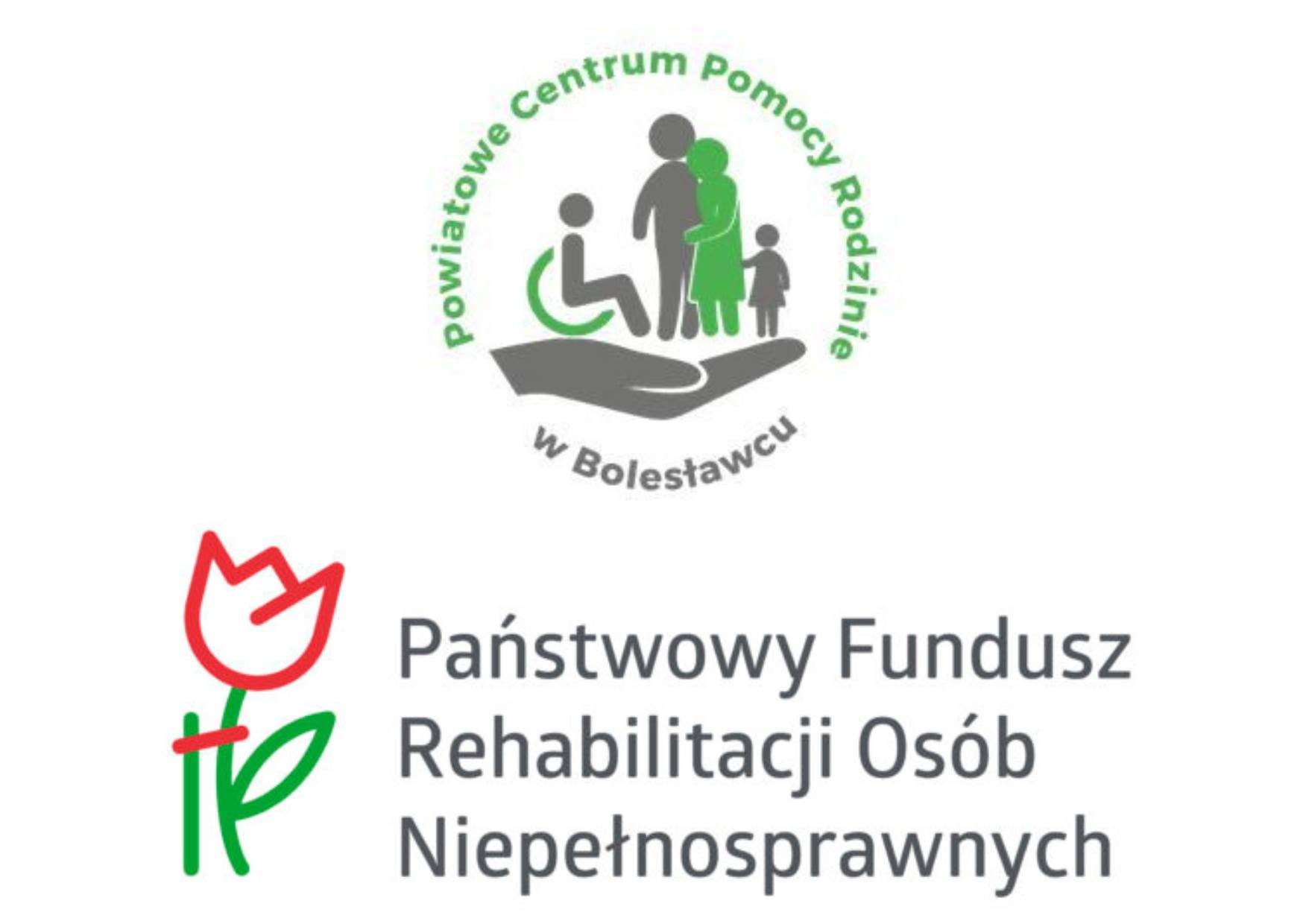 dla-niepenosprawnych-114352