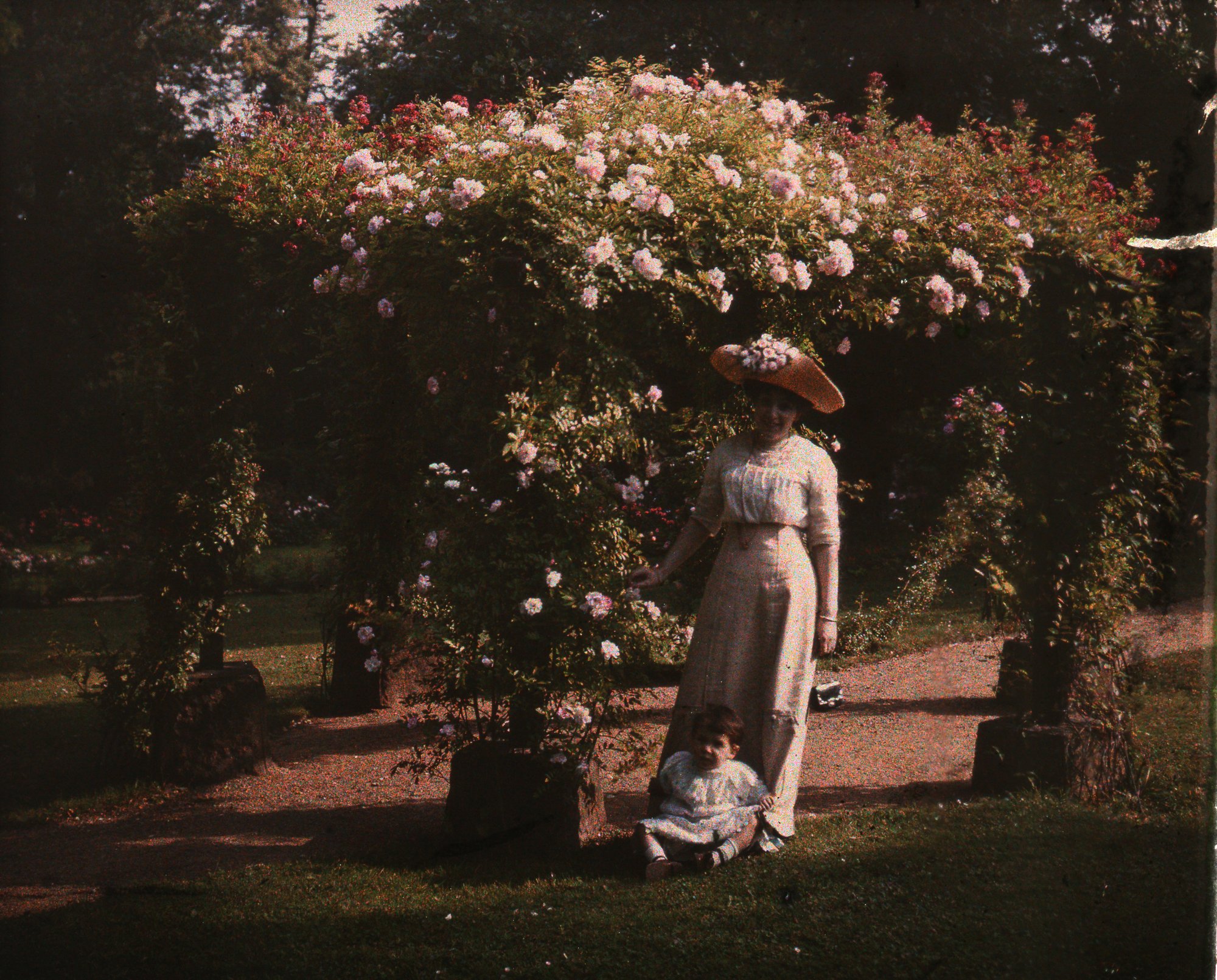 sekretny-ogrod-daisy-114608