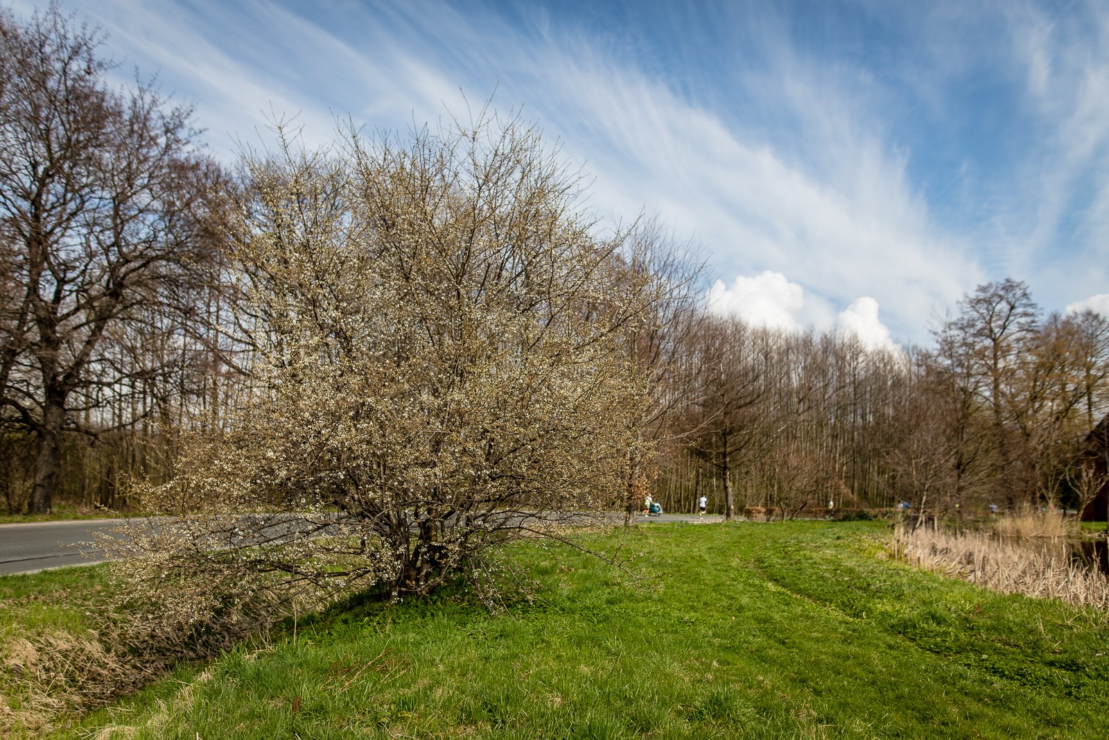 ponad-800-biegaczy-na-starcie-114626