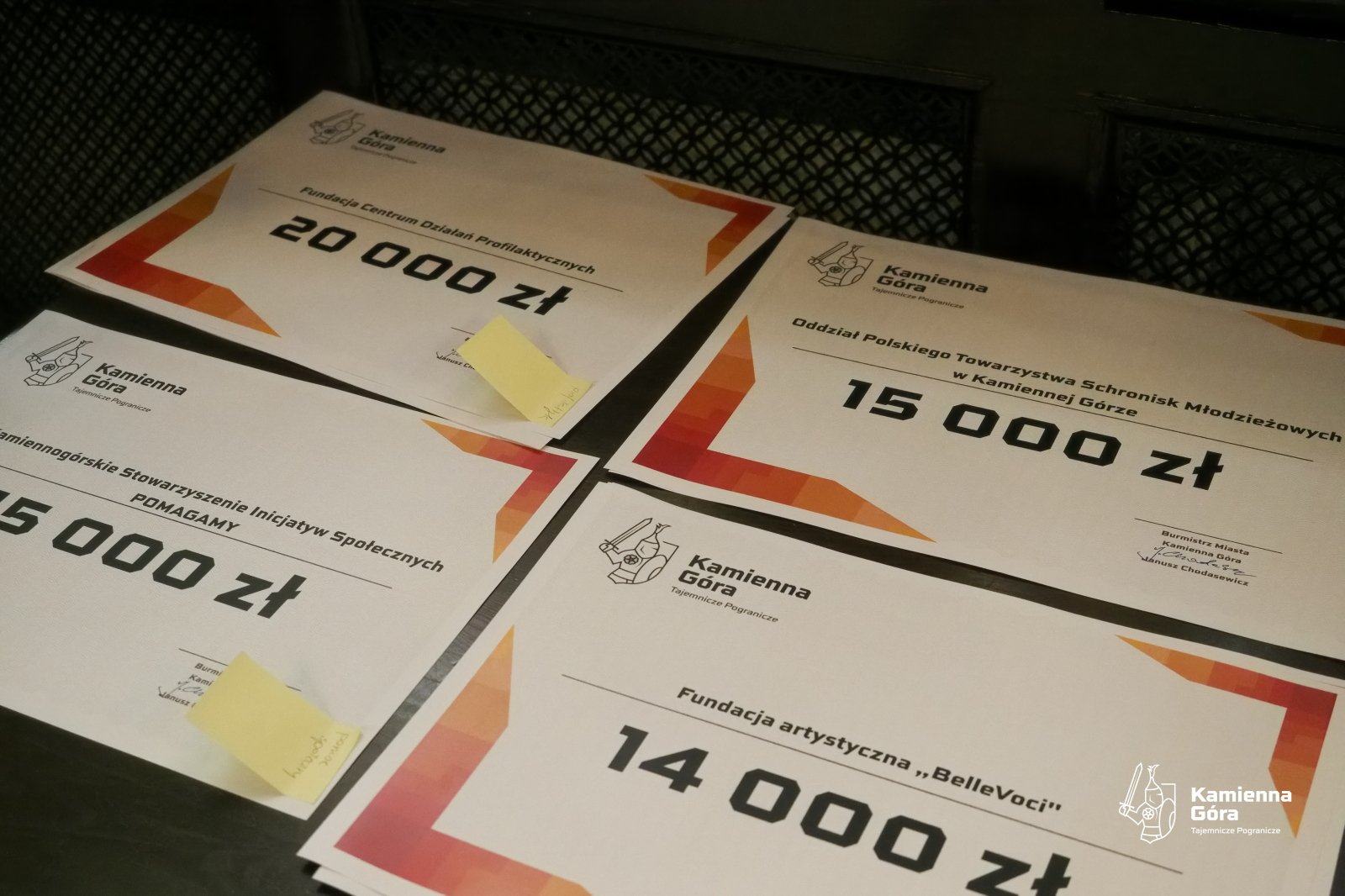 symboliczne-czeki-dla-ngo-114678