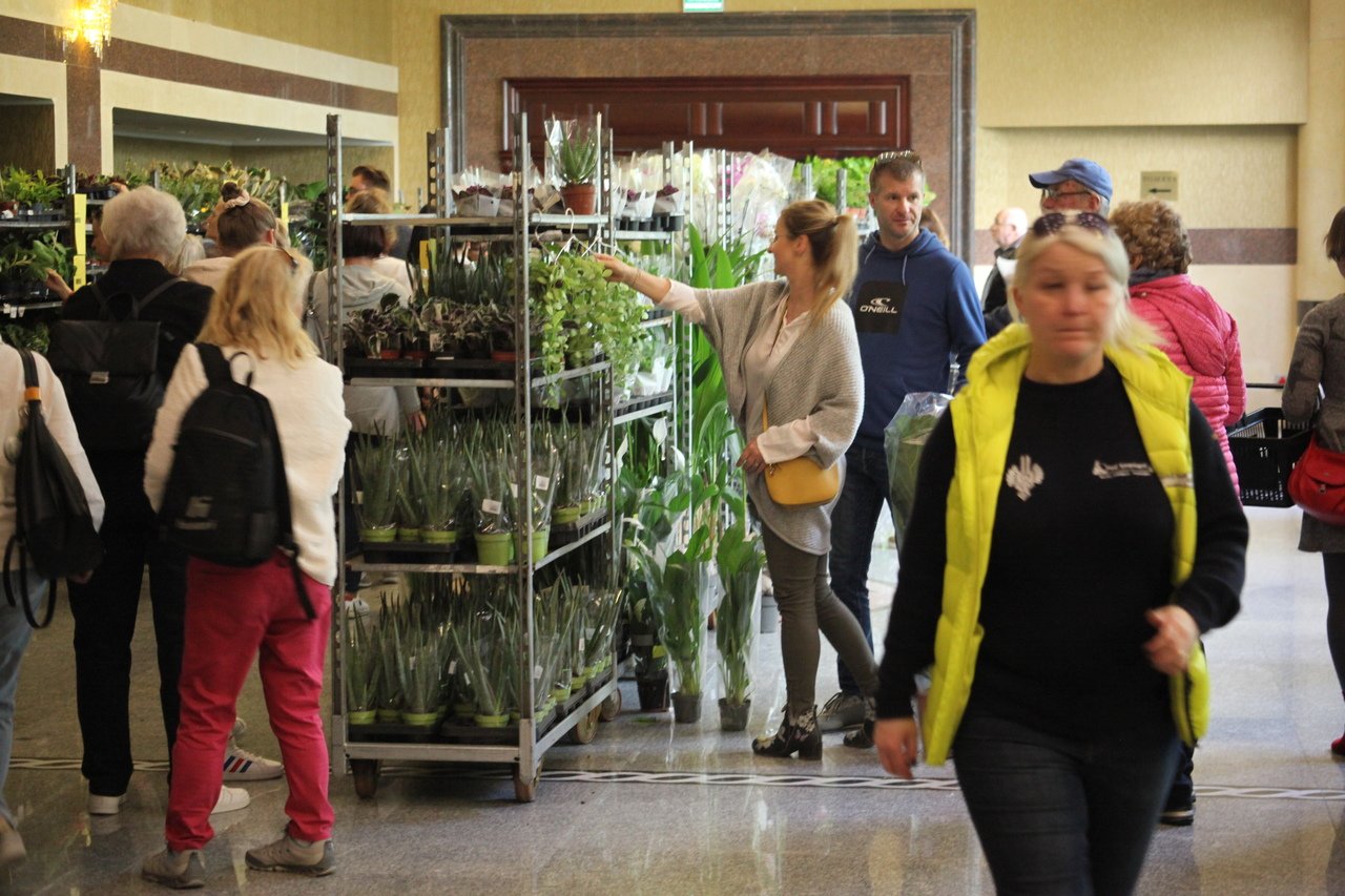 festiwal-roslin-w-karpaczu-114798