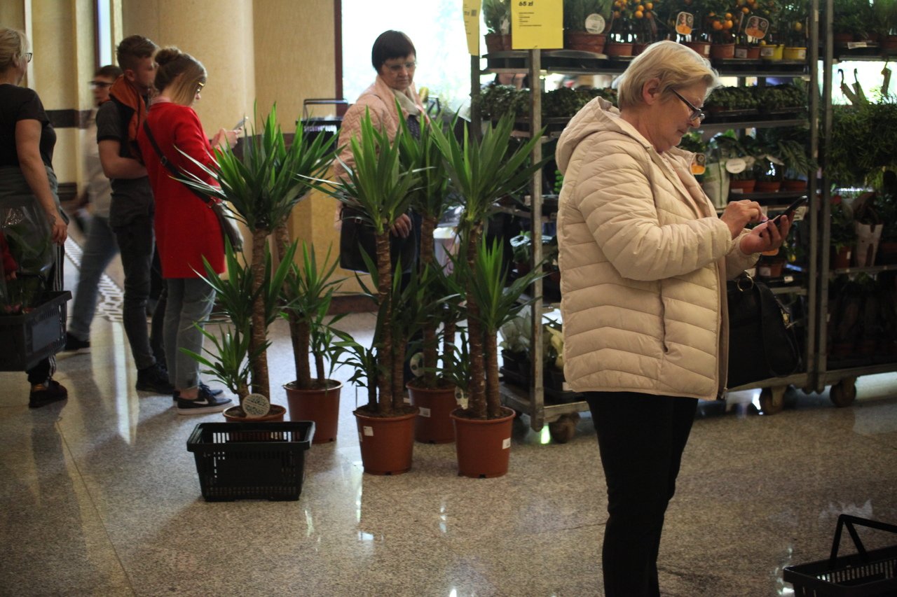 festiwal-roslin-w-karpaczu-114798
