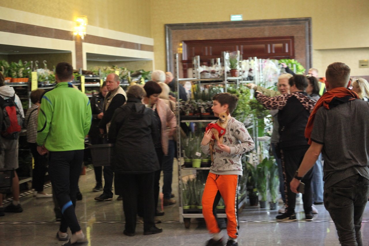 festiwal-roslin-w-karpaczu-114798