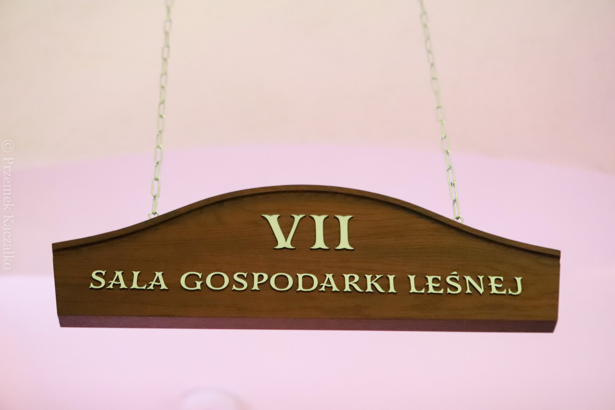 wielkie-otwarcie-niezwykej-atrakcji-kpn-114848
