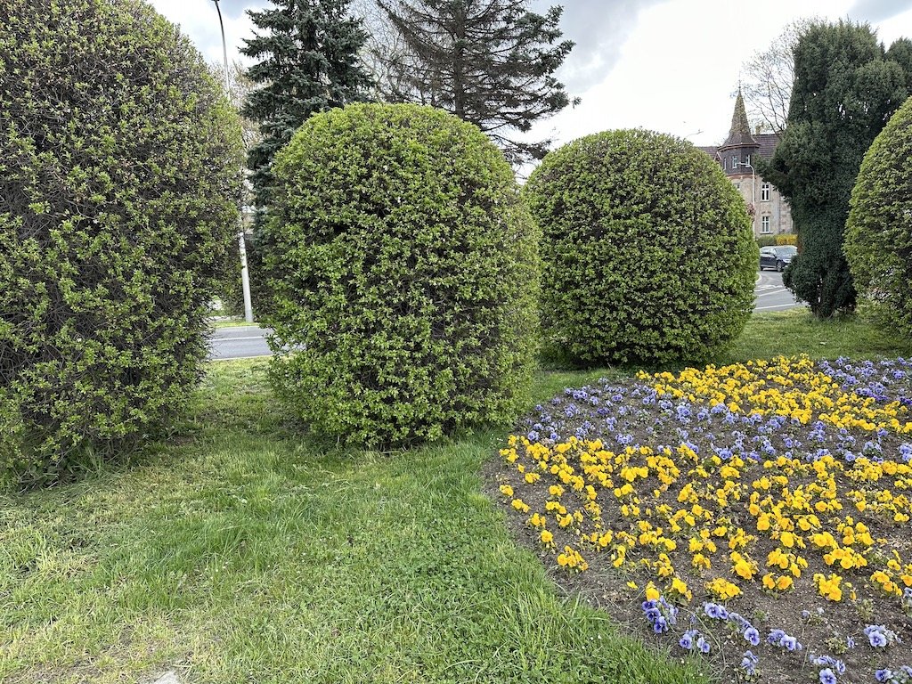 kolorowo-w-miescie-114859