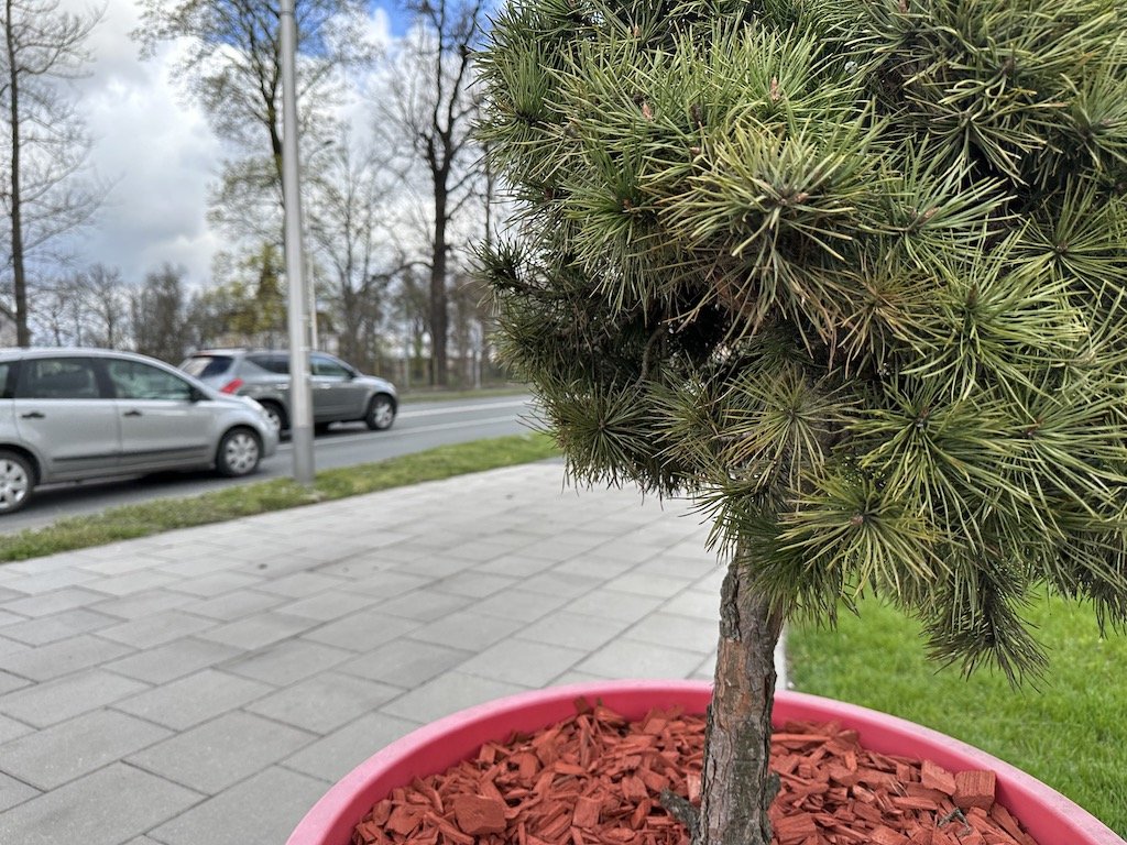 kolorowo-w-miescie-114859