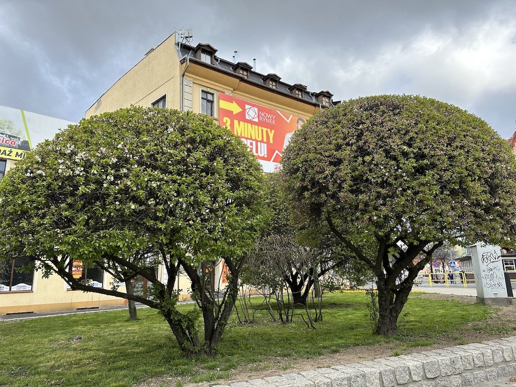 kolorowo-w-miescie-114859