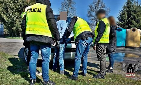 tak-dziaaja-owcy-pedofili-114880