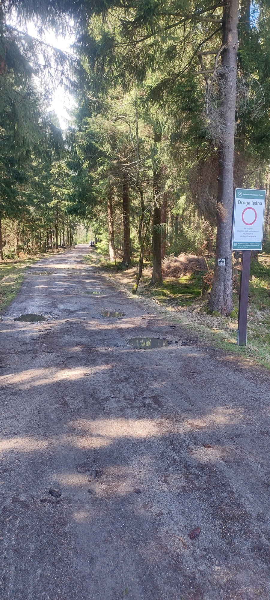 czytelnik-straznicy-miejscy-na-papierosku-w-lesie-114898
