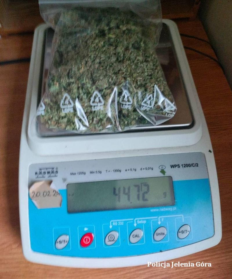 do-sadu-za-narkotyki-114974