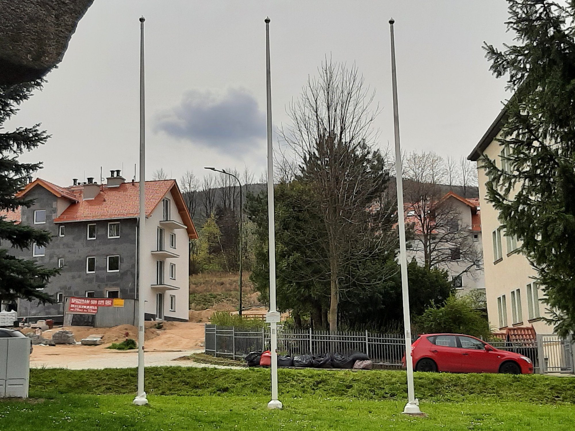 swieto-flagi-bez-flag-114978
