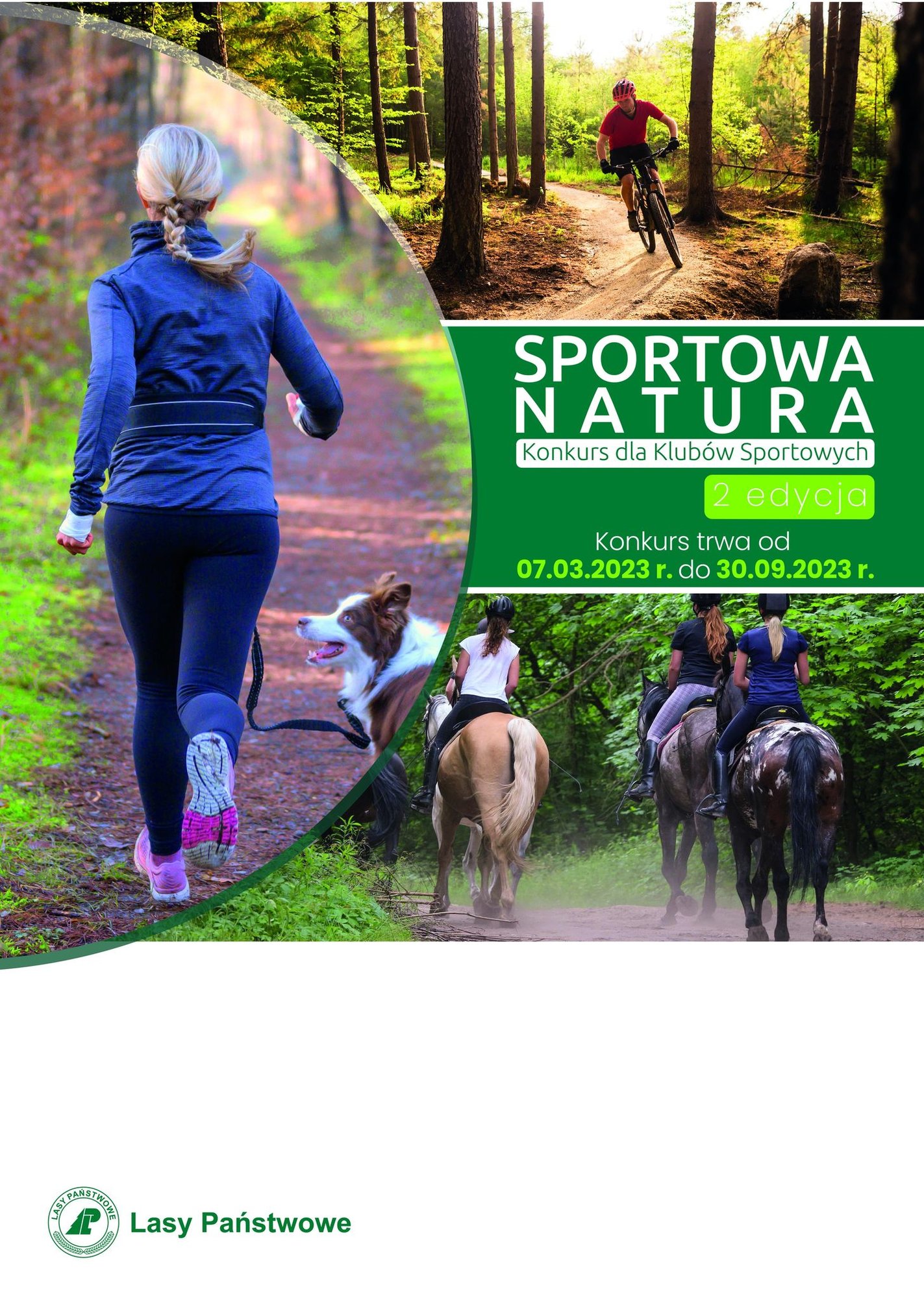 lasy-panstwowe-wspieraja-pikarki-reczne-115093