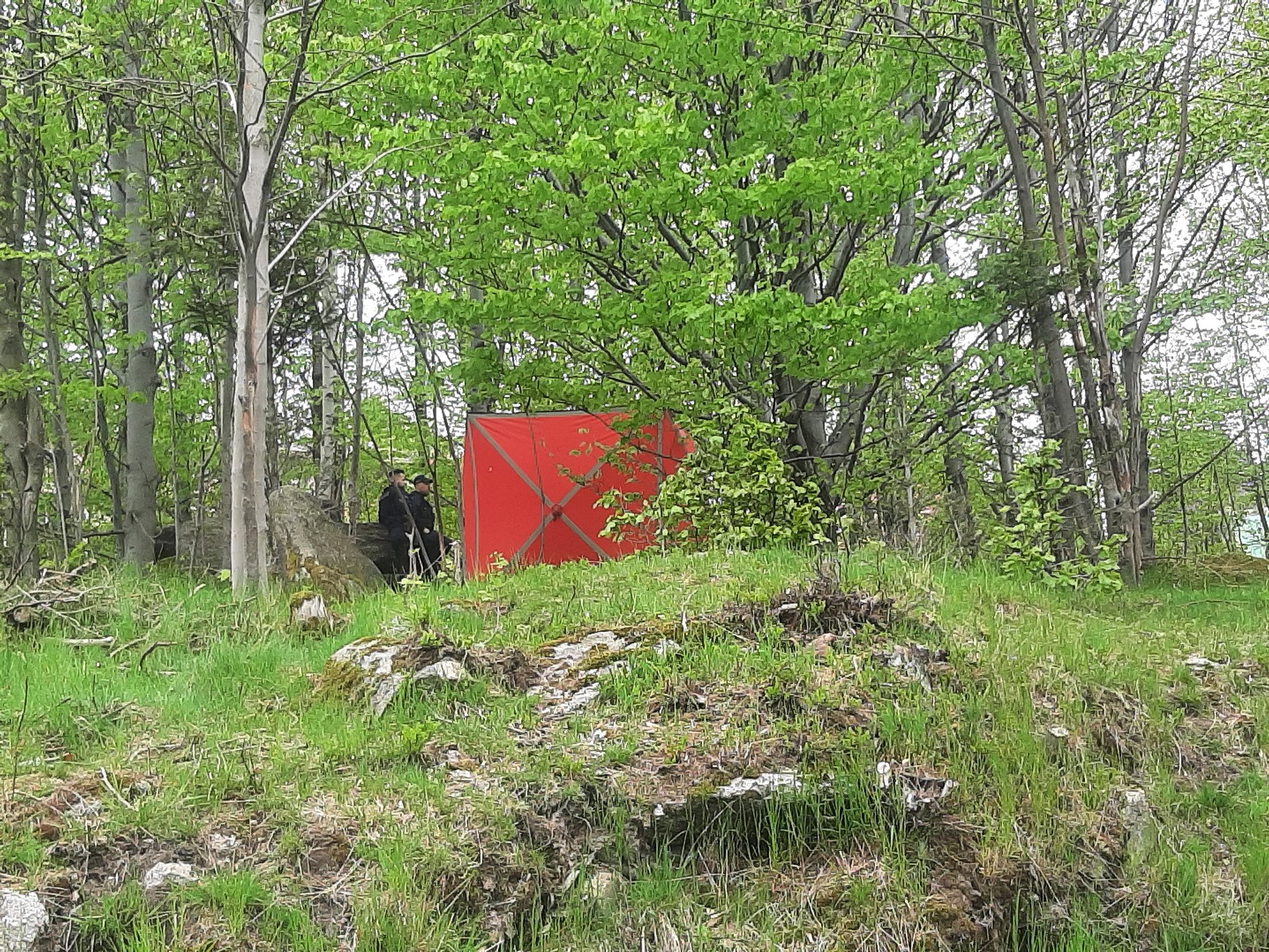 samobojstwo-w-parku-115215