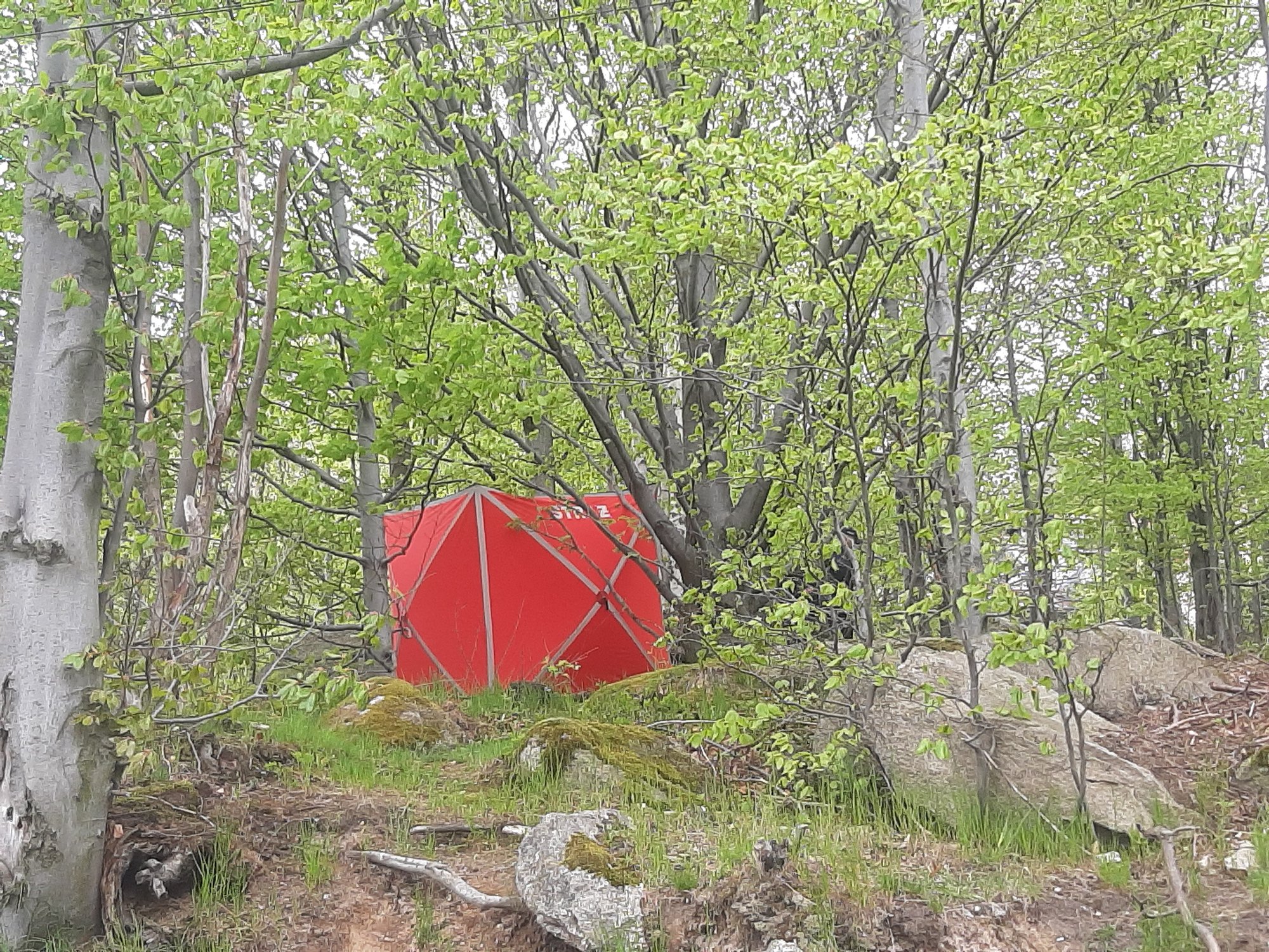 samobojstwo-w-parku-115215