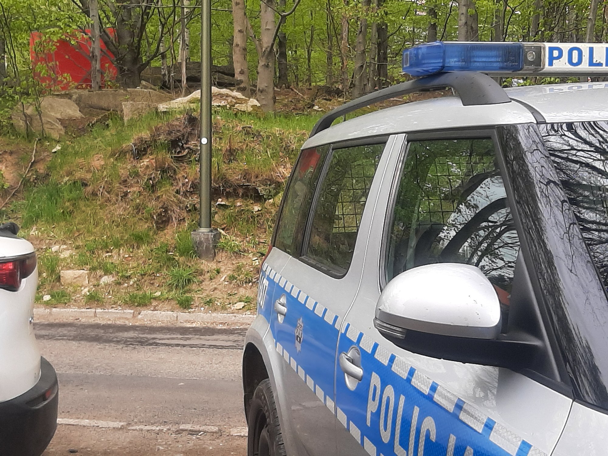 samobojstwo-w-parku-115215
