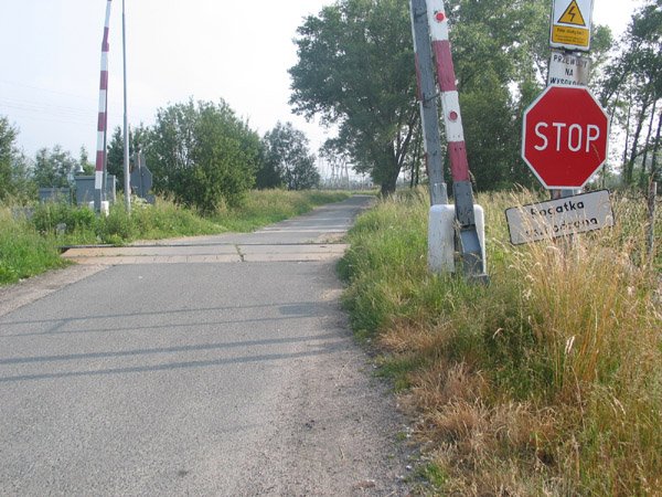 Tablica przy przejeździe w Piechowicach Dolnych ledwo wystaje zza wysokiej trawy.