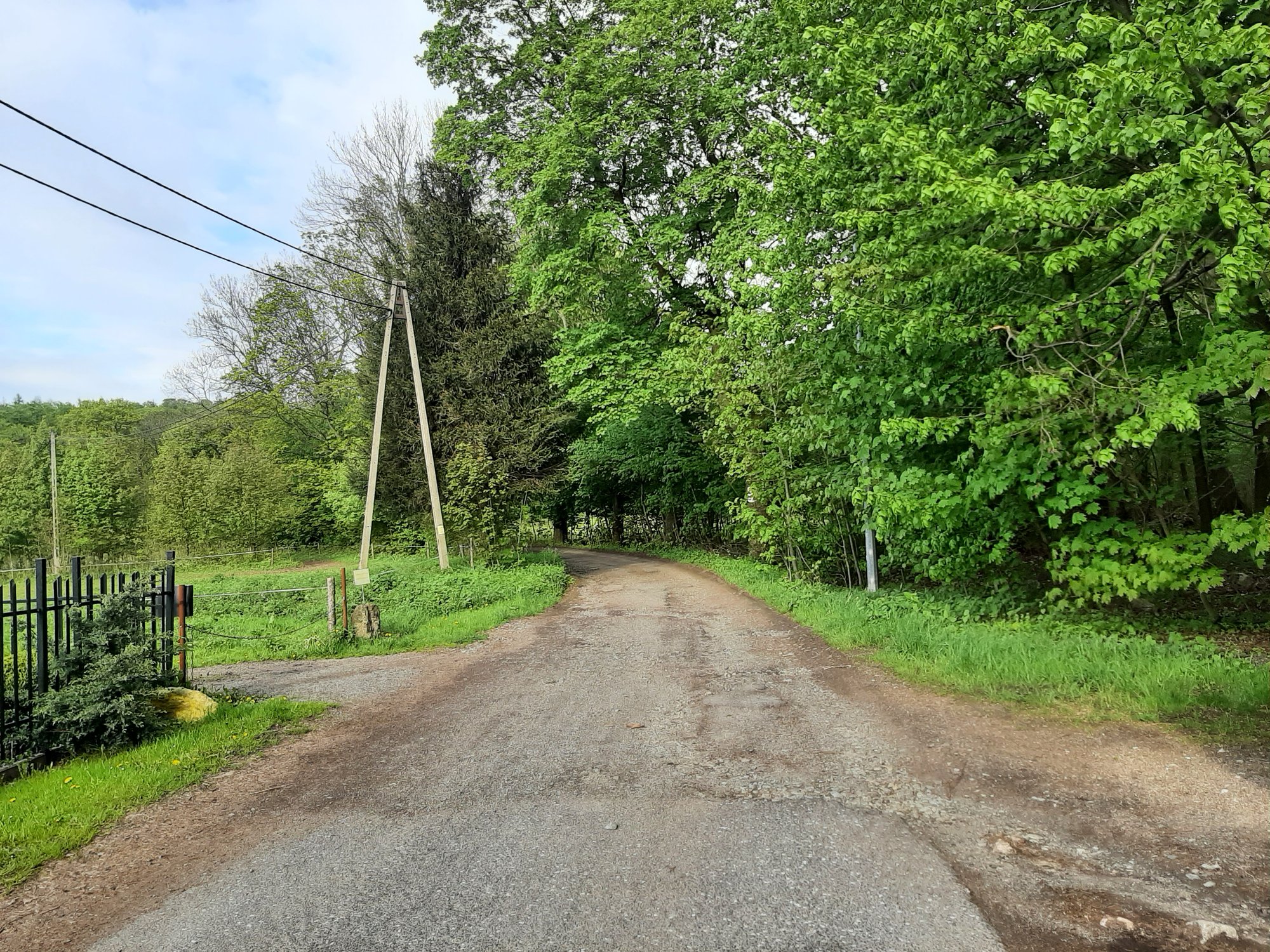lesnicy-dopaca-115354