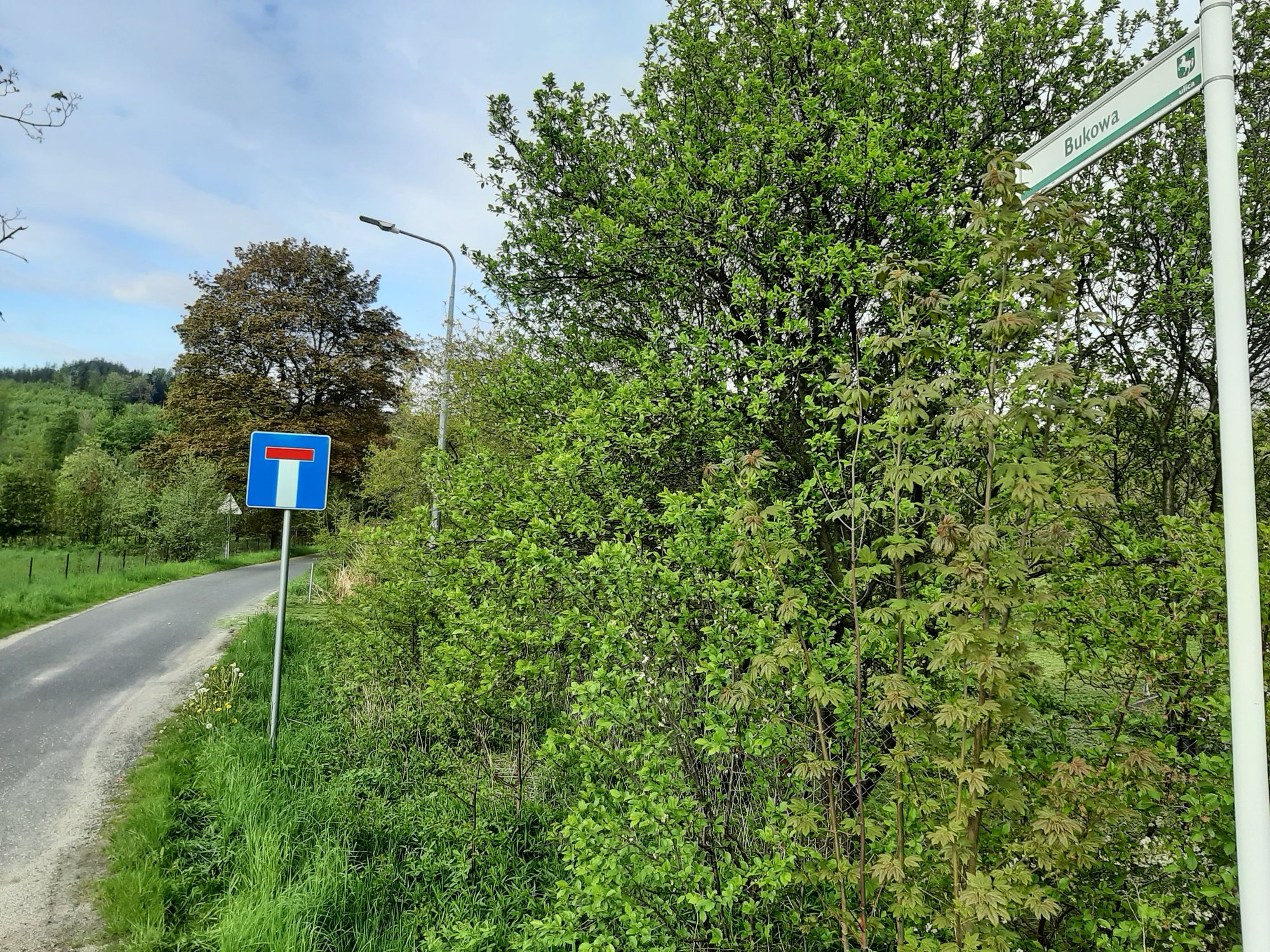 lesnicy-dopaca-115354