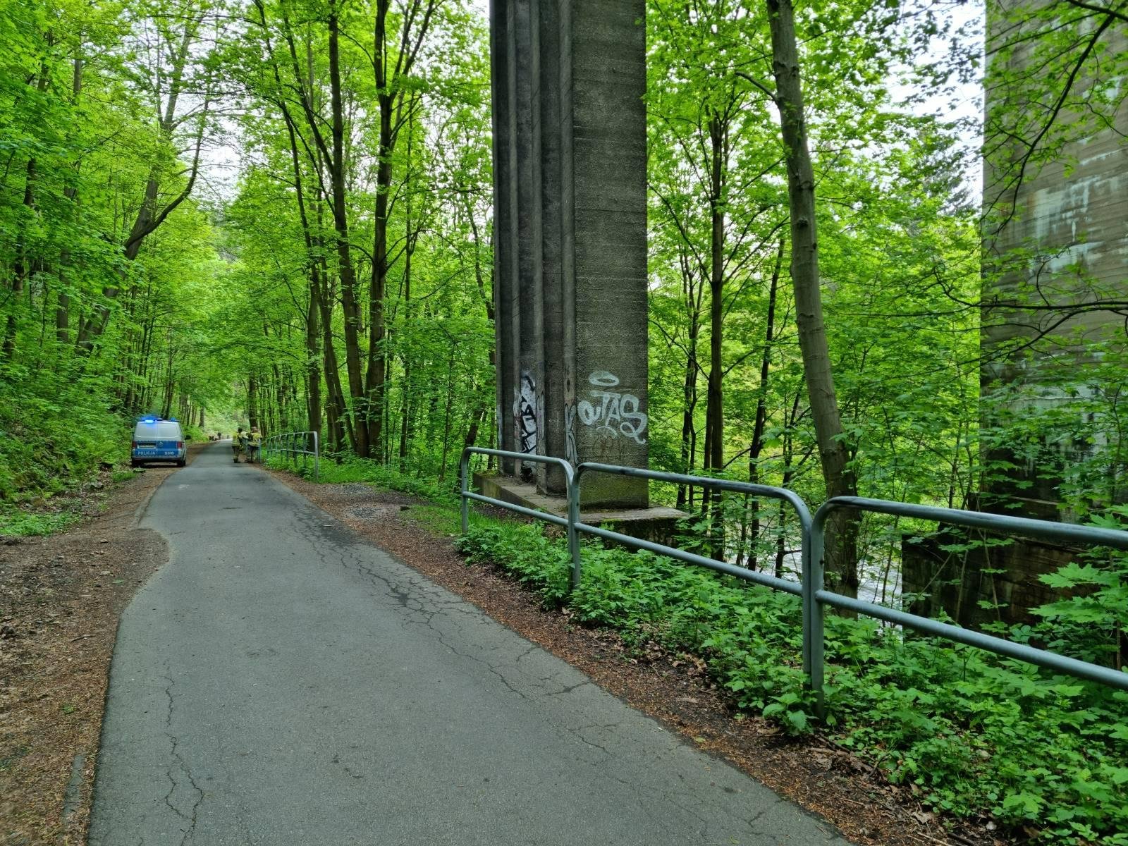 zwoki-w-bobrze-115356