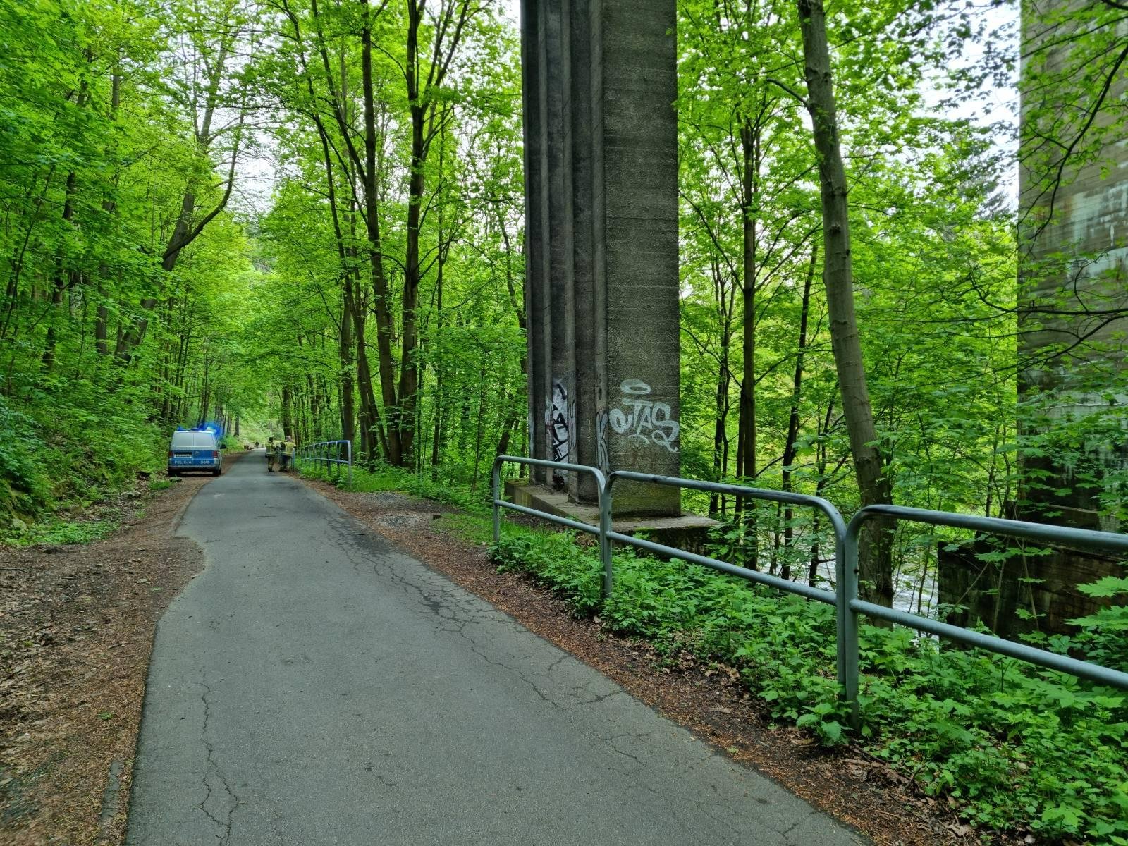 zwoki-w-bobrze-115356