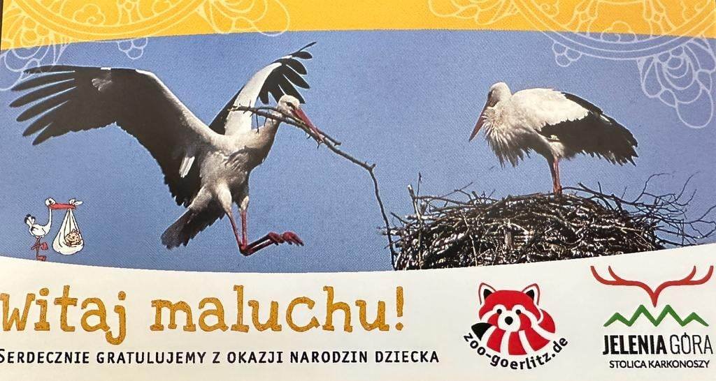 witaj-maluchu-przez-rok-bezpatnie-do-zoo-gorlitz-115508