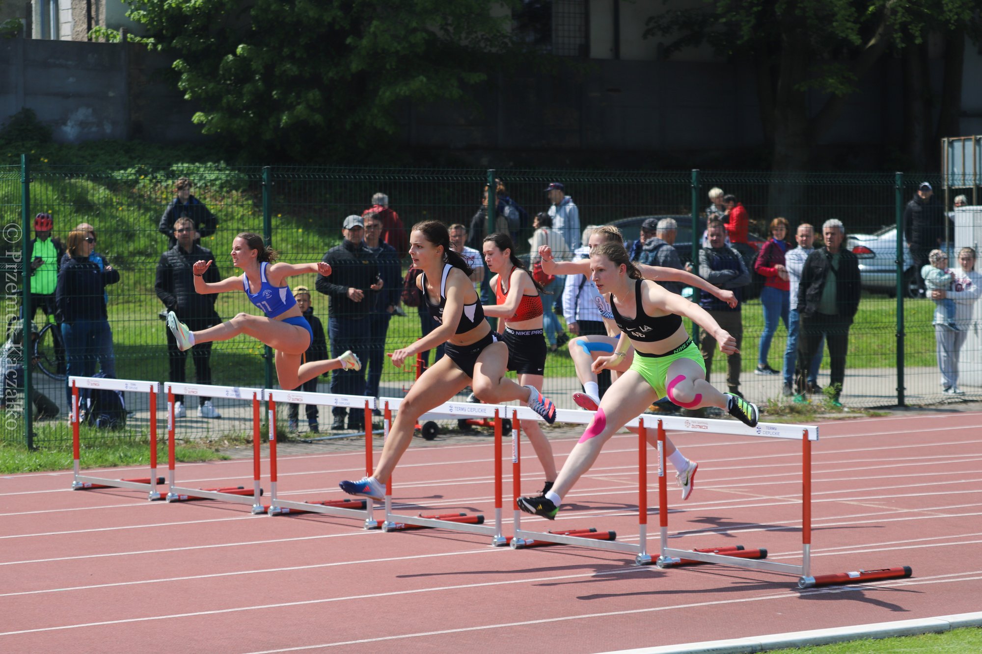 lekkoatletyczne-zmagania-dolnoslazakow-115575