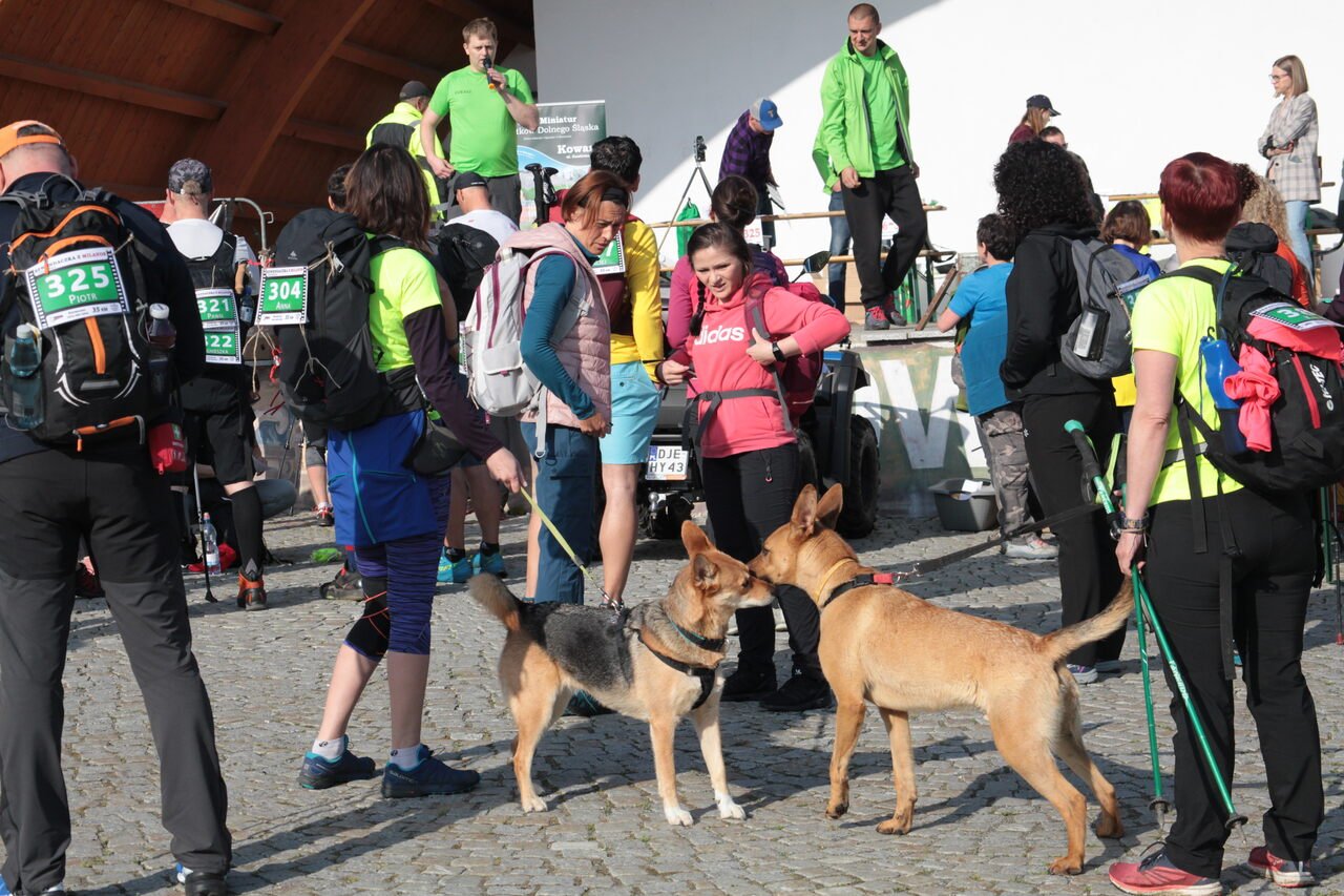 marsz-gorski-w-kowarach-115595