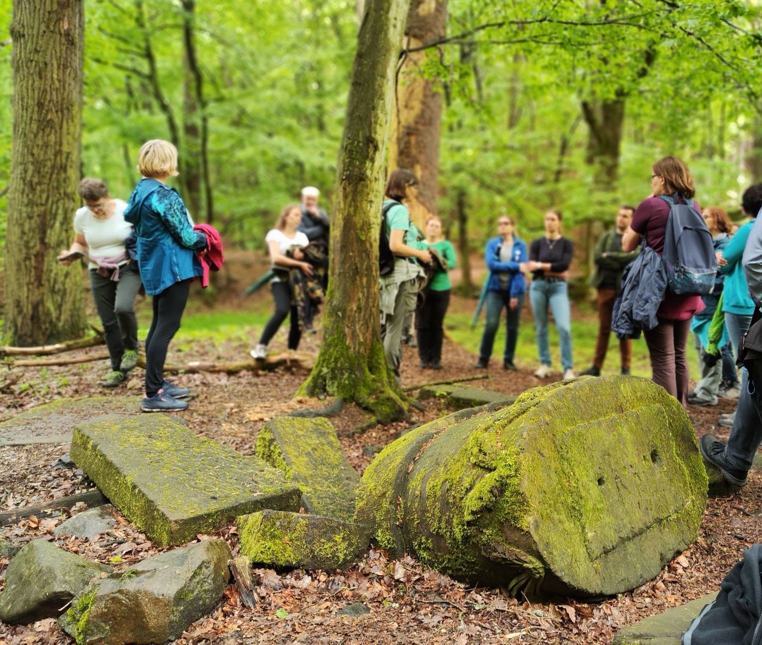 powstaje-modelowy-park-woko-zamku-ksiaz-115700