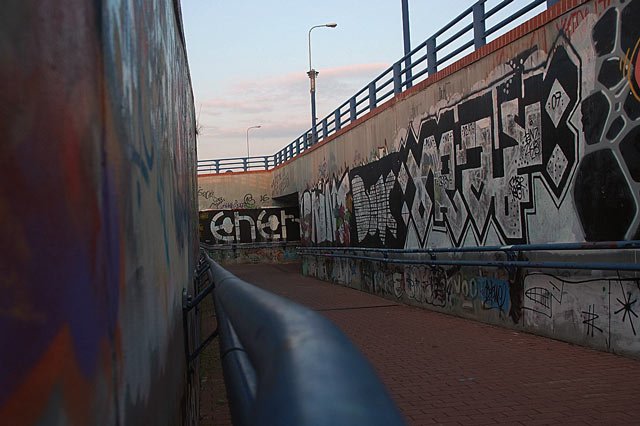 skazona-pera-11574