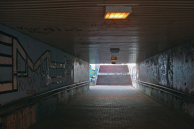 skazona-pera-11574