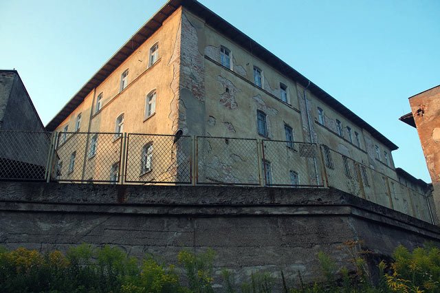 skazona-pera-11574