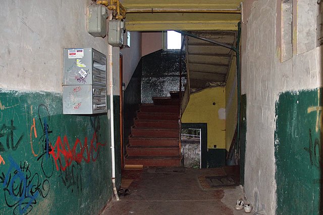skazona-pera-11574
