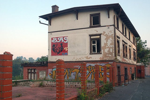 skazona-pera-11574