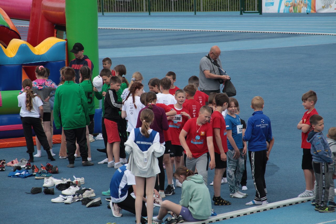 sportowe-eliminacje-115787