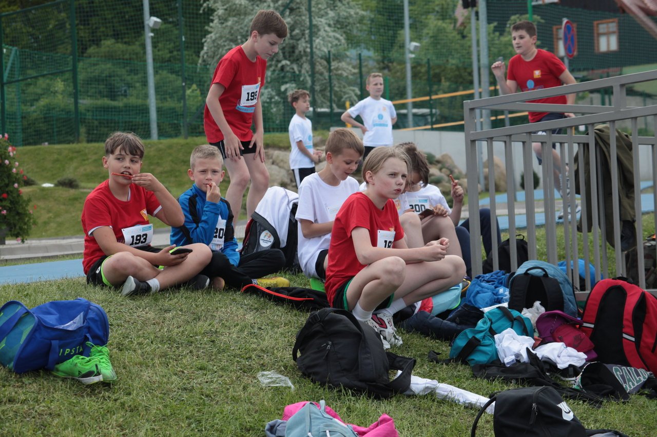 sportowe-eliminacje-115787