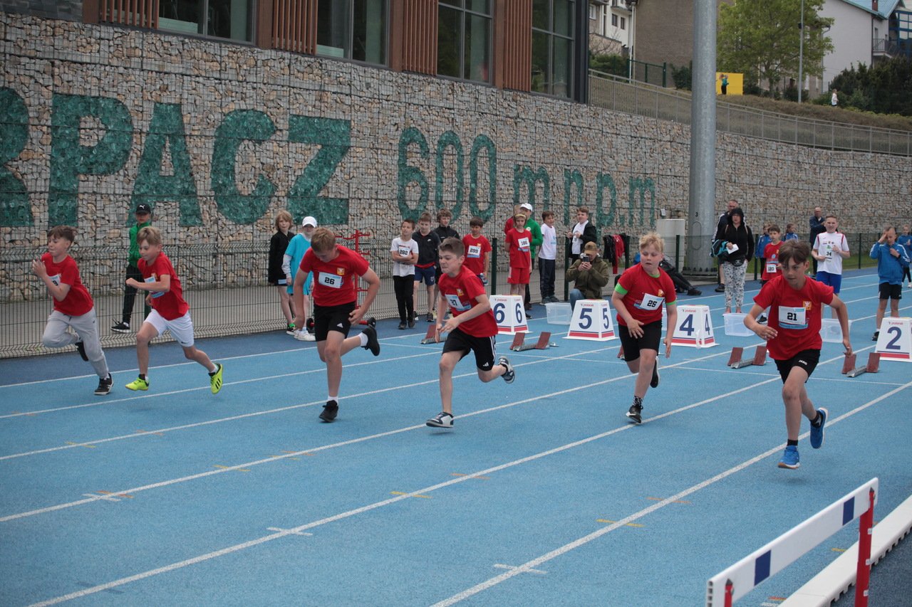 sportowe-eliminacje-115787