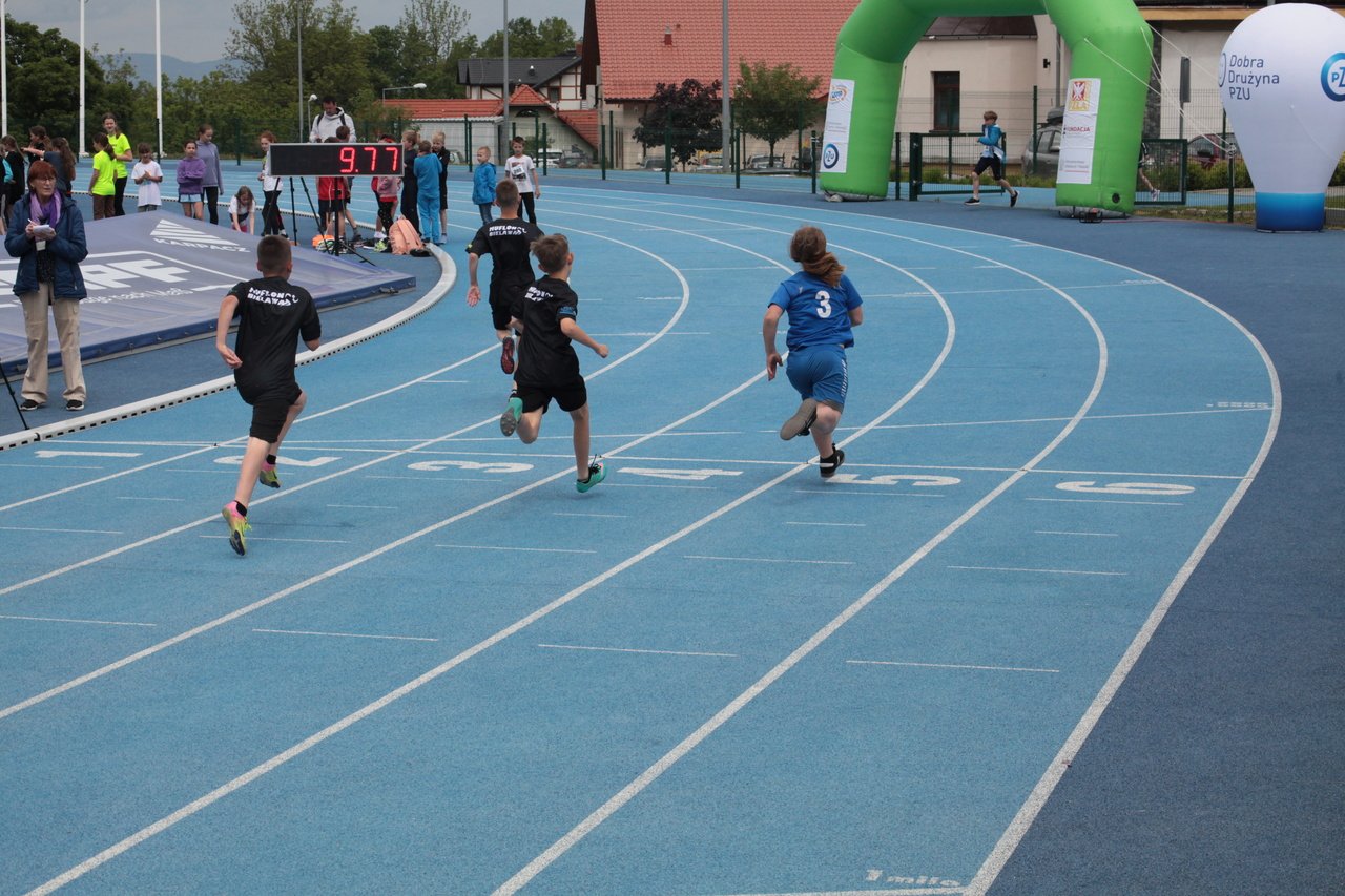 sportowe-eliminacje-115787