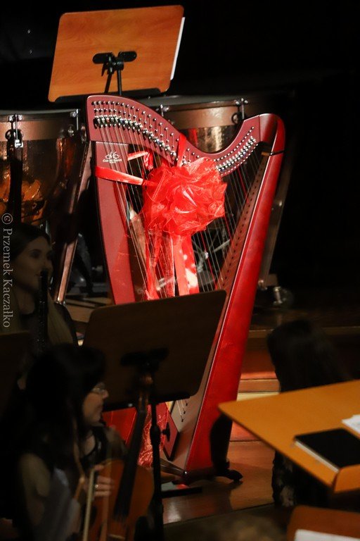 koncert-dyplomantow-szkoy-muzycznej-115971