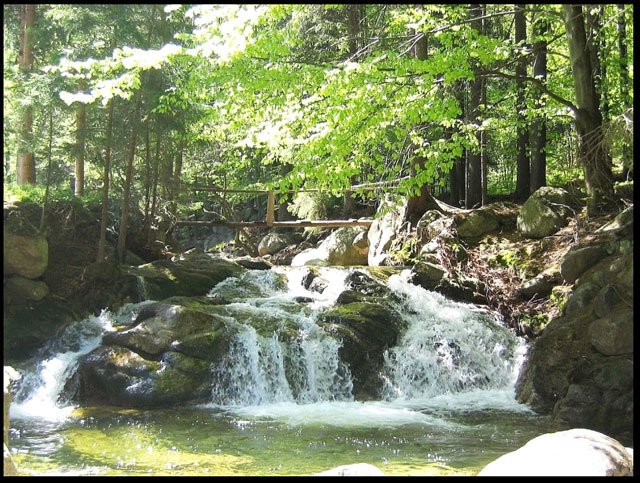 zimny-prysznic-na-podgornej-11601