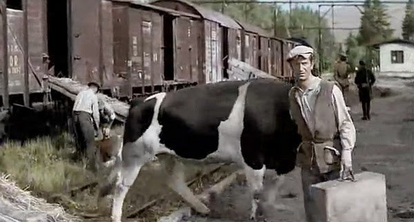 tu-krecili-film-116039