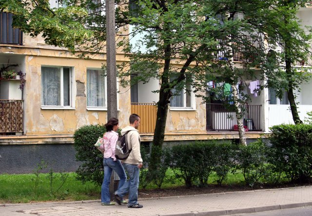 gosna-zmora-11630