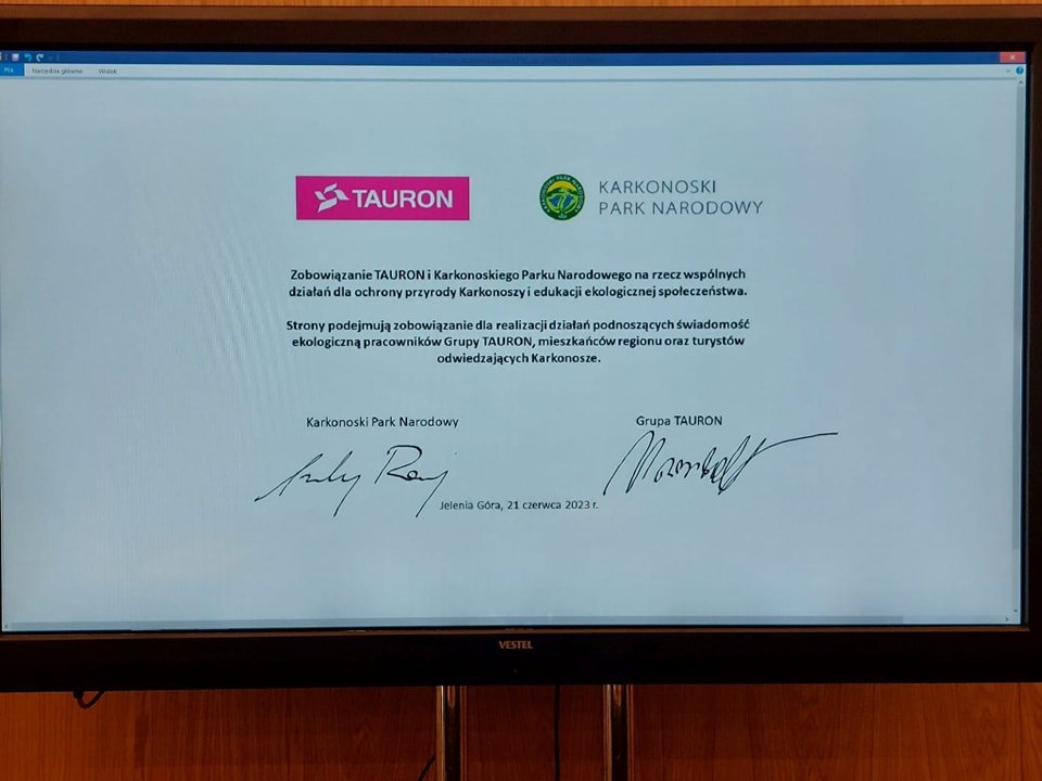 tauron-wspiera-kpn-116403