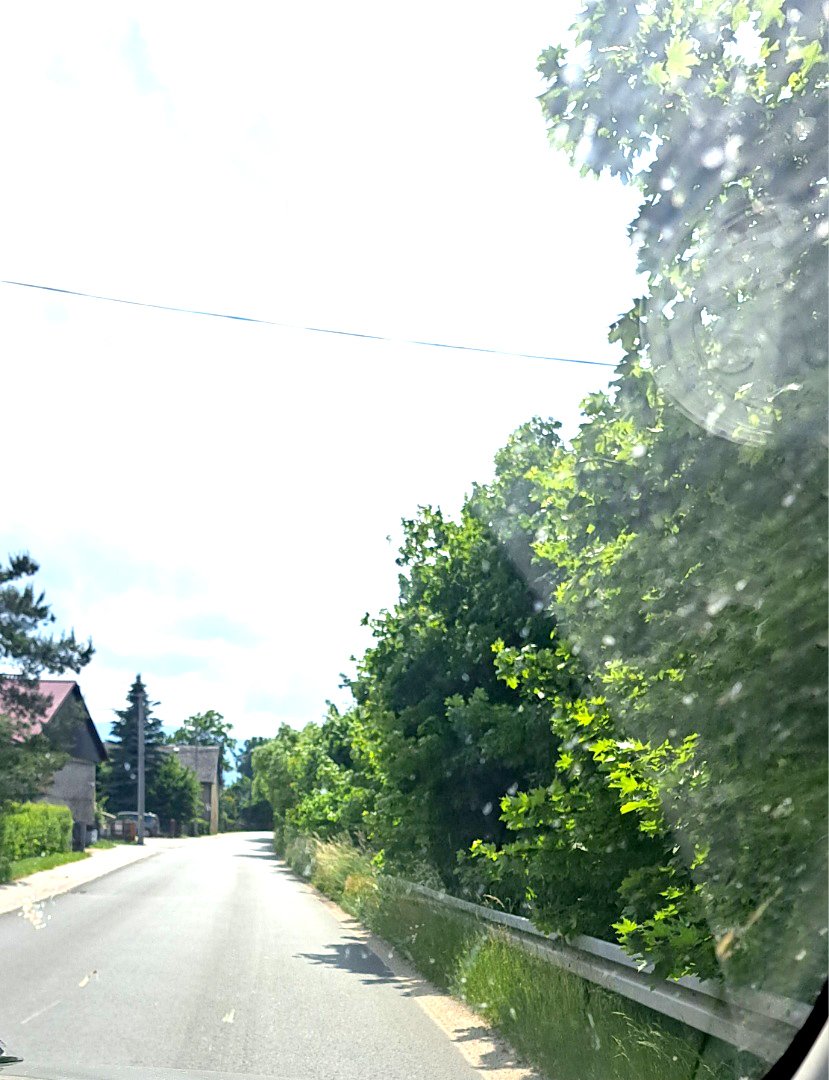 czytelnik-niebezpieczne-pobocza-w-omnicy-116429