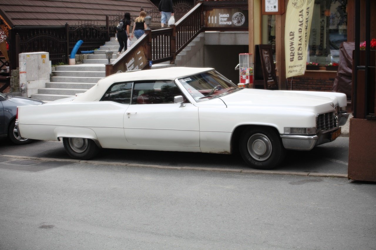 nie-tylko-dla-koneserow-116433