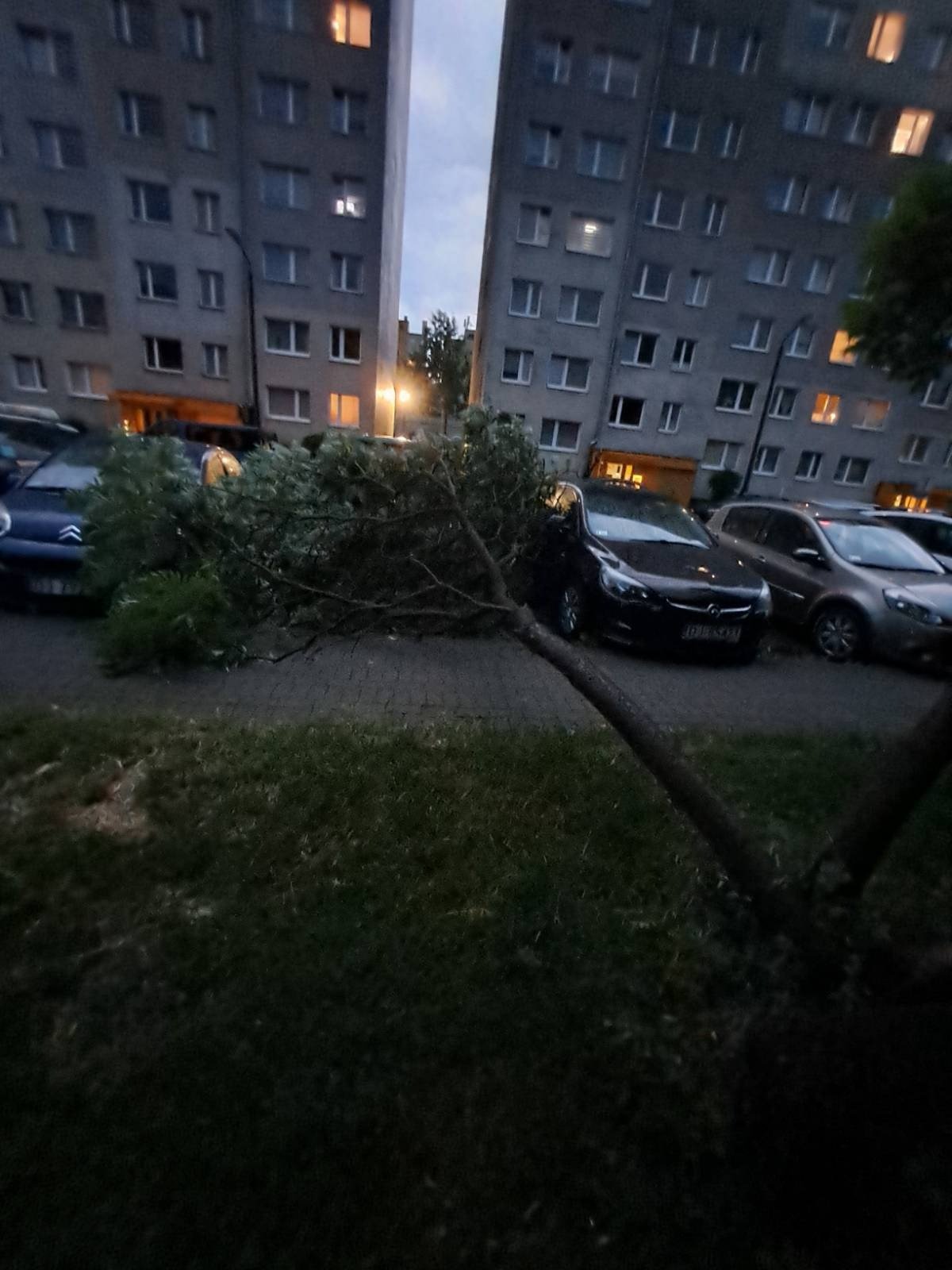 suzby-usuwaja-szkody-po-nawanicy-116472